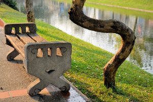 A tree grew around a bench along a river